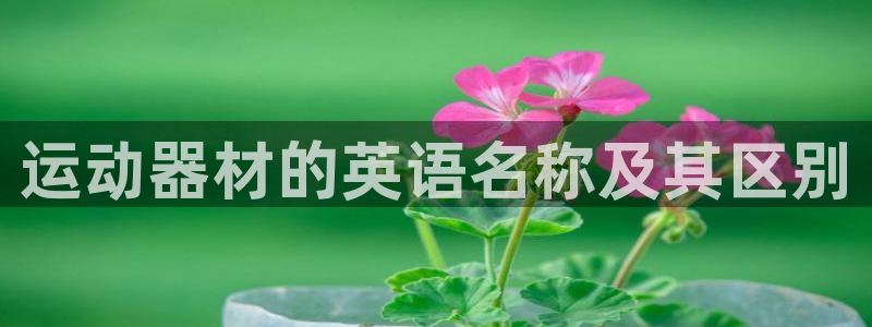 海南凯捷体育发展怎么样：运动器材的英语名称及其区别