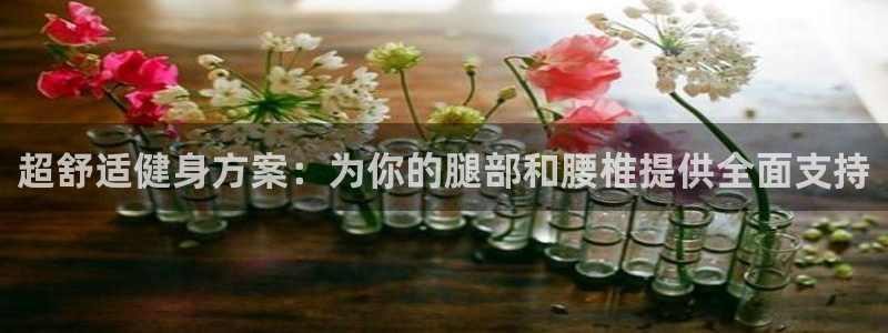 凯捷体育娱乐是那个系列的台子：超舒适健身方案：为你的