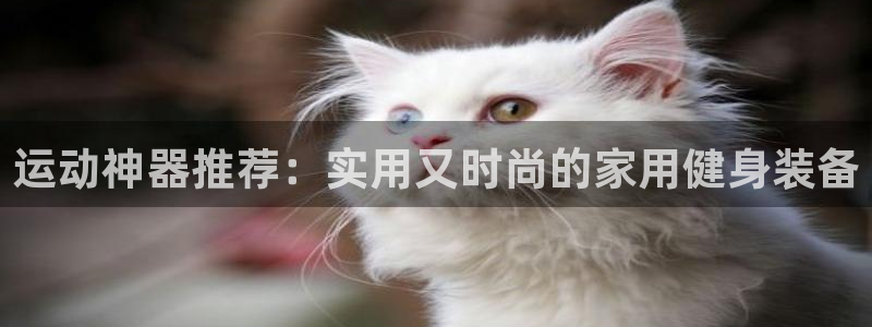凯捷体育娱乐下载：运动神器推荐：实用又时尚的家用健身