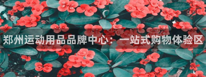 凯捷体育娱乐