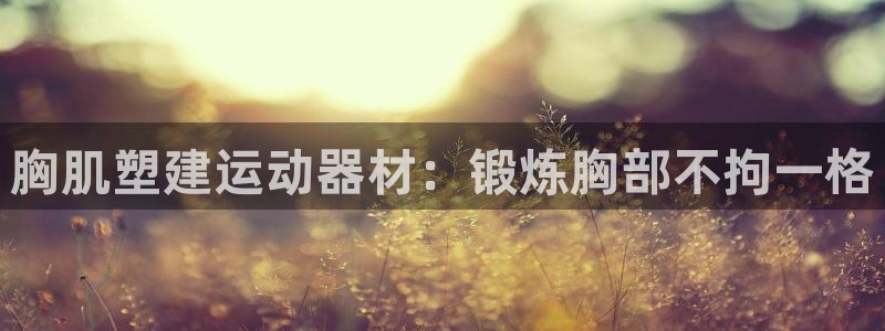 凯捷体育平台假的吗是真的吗吗：胸肌塑建运动器材：锻炼