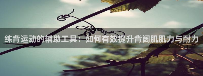 凯捷体育招商电话号码：练背运动的辅助工具：如何有效提