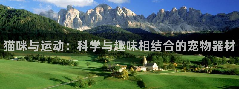 凯捷体育平台假的吗是真的吗吗：猫咪与运动：科学与趣味