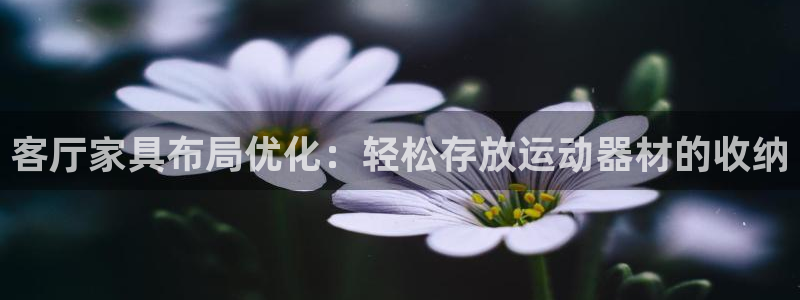 凯捷体育平台是正规平台吗安全吗：客厅家具布局优化：轻松存放运