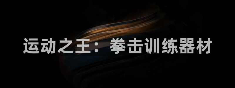 凯捷体育集团官网首页网址：运动之王：拳击训练器材