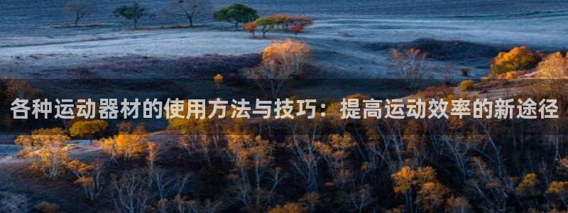 凯捷体育官方客服电话：各种运动器材的使用方法与技巧：提高运动