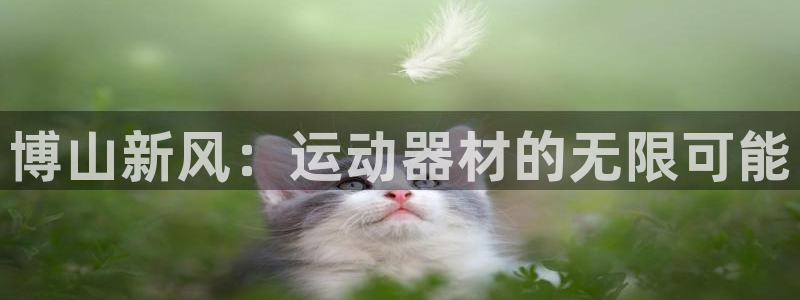 凯捷体育官方：博山新风：运动器材的无限可能