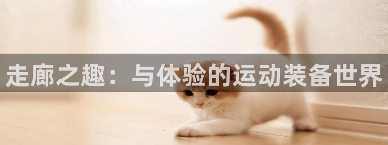 凯捷体育集团E.ON：走廊之趣：与体验的运动装备世界