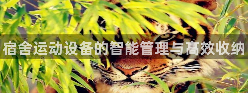 凯捷体育娱乐是那个系列的台子：宿舍运动设备的智能管理与高效收