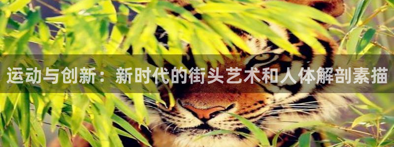 海南凯捷体育发展怎么样：运动与创新：新时代的街头艺术
