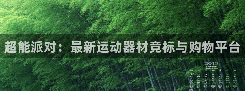 凯捷体育集团官网网址：超能派对：最新运动器材竞标与购