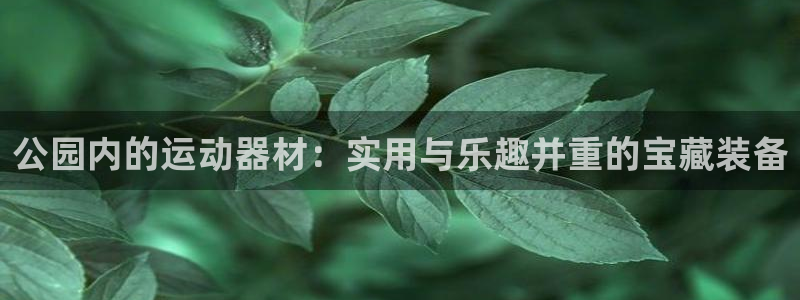 凯捷体育招商：公园内的运动器材：实用与乐趣并重的宝藏