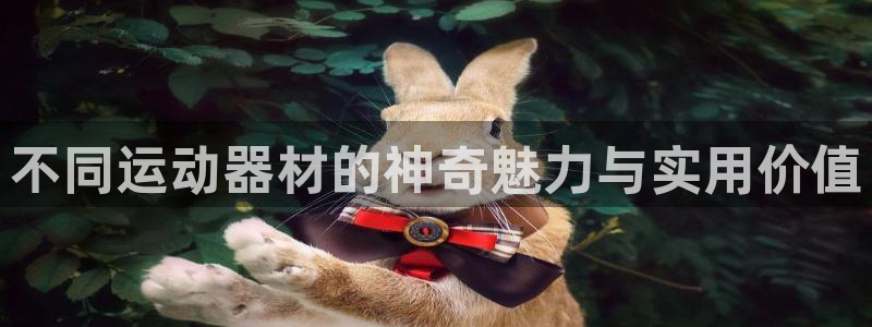 凯捷体育平台注册要钱吗：不同运动器材的神奇魅力与实用