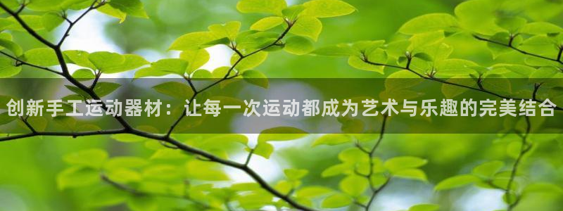 凯捷体育招商电话号码：创新手工运动器材：让每一次运动