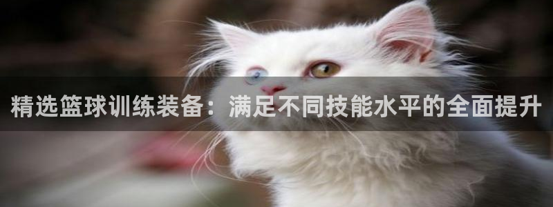 注册凯捷体育：精选篮球训练装备：满足不同技能水平的全