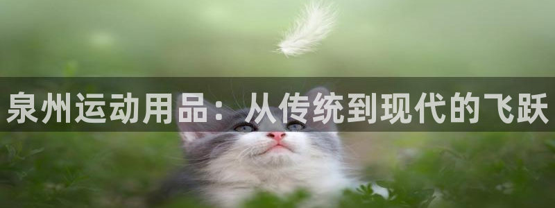 注册凯捷体育：泉州运动用品：从传统到现代的飞跃