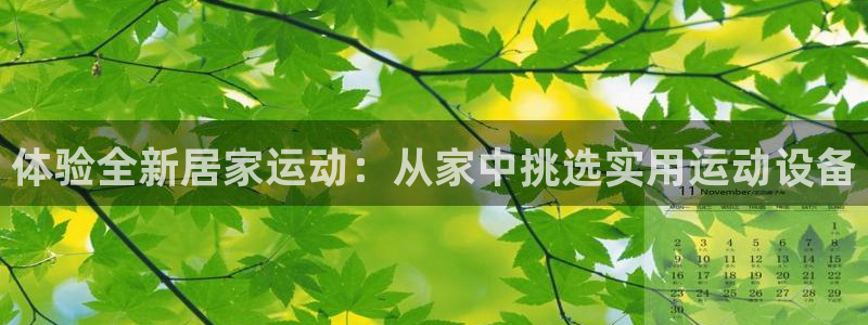 德国凯捷体育集团：体验全新居家运动：从家中挑选实用运