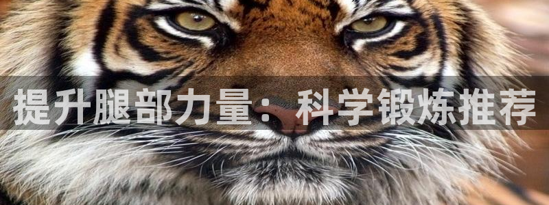 凯捷体育集团官网首页：提升腿部力量：科学锻炼推荐