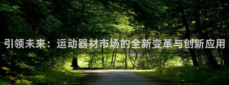 凯捷体育平台注册流程图：引领未来：运动器材市场的全新