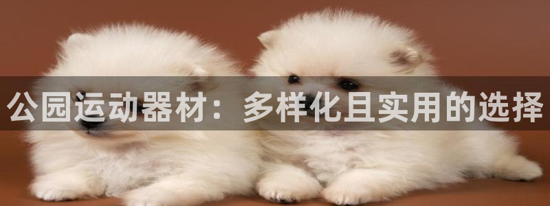 海南凯捷体育发展怎么样：公园运动器材：多样化且实用的