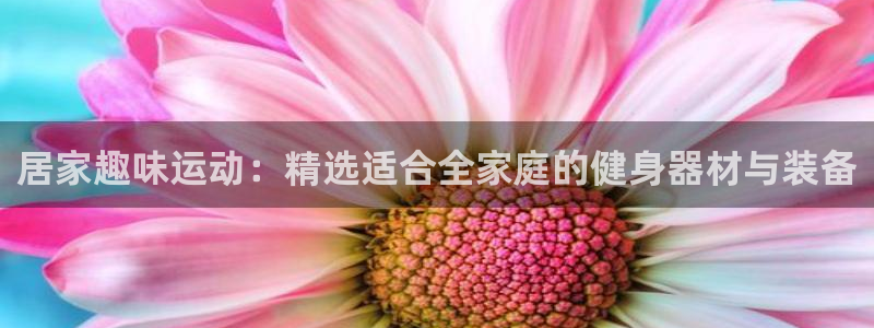 意昂集团官网：居家趣味运动：精选适合全家庭的健身器材