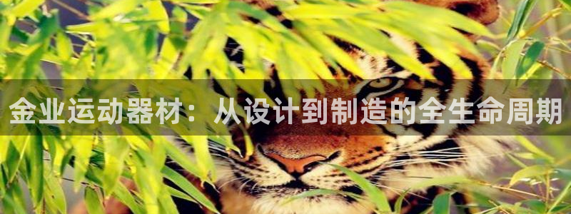 凯捷体育开户：金业运动器材：从设计到制造的全生命周期