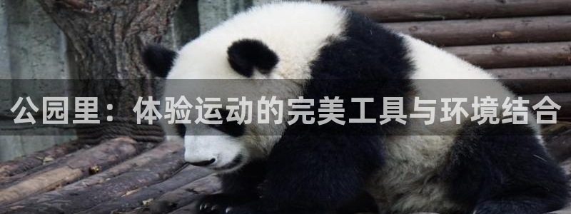 德国凯捷体育集团：公园里：体验运动的完美工具与环境结