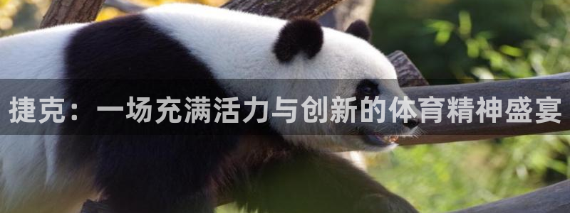 凯捷体育娱乐