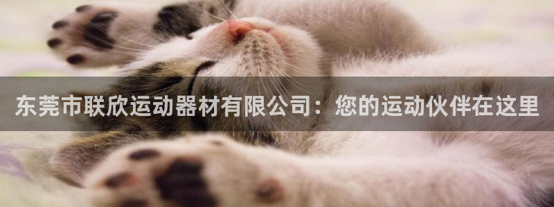 凯捷体育娱乐首页网站大全：东莞市联欣运动器材有限公司