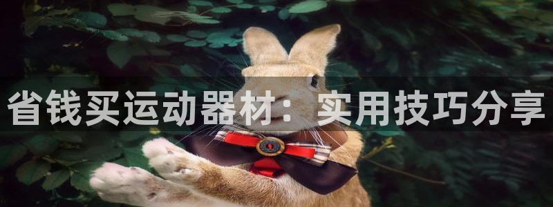 凯捷体育是干嘛的公司：省钱买运动器材：实用技巧分享