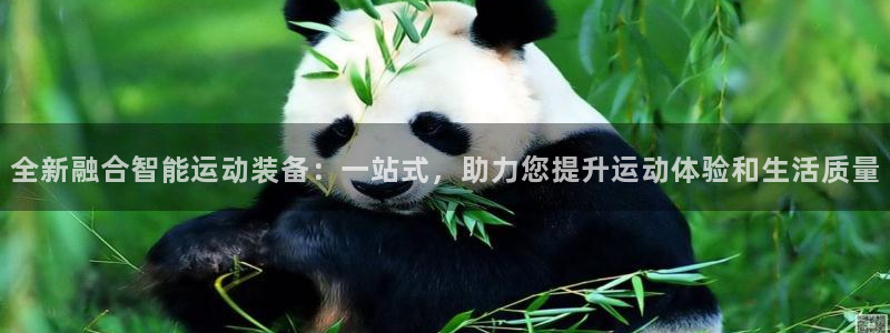 凯捷体育平台是正规平台吗：全新融合智能运动装备：一站