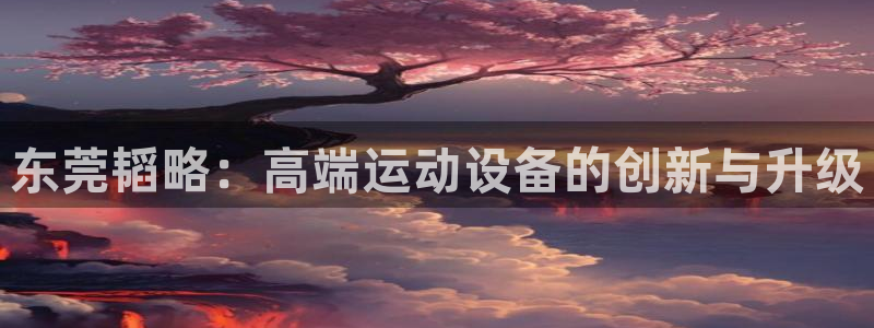 凯捷体育娱乐下载：东莞韬略：高端运动设备的创新与升级