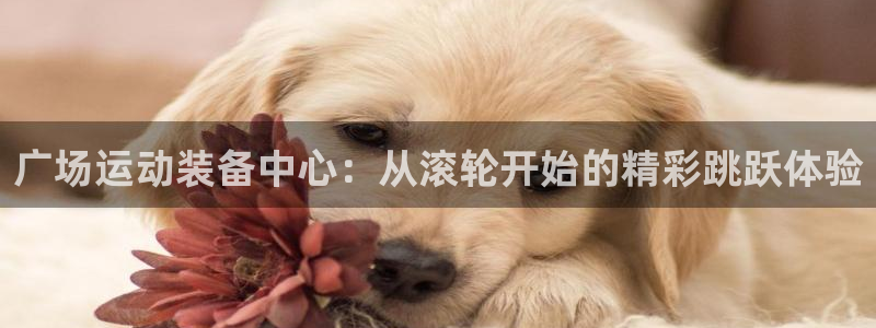 海南凯捷体育发展怎么样