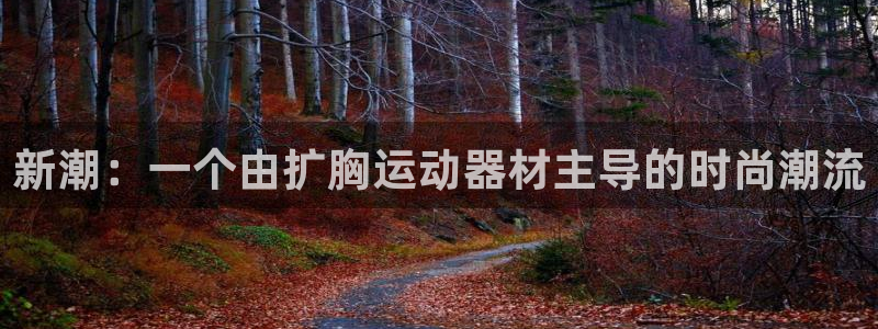 意昂平台体育