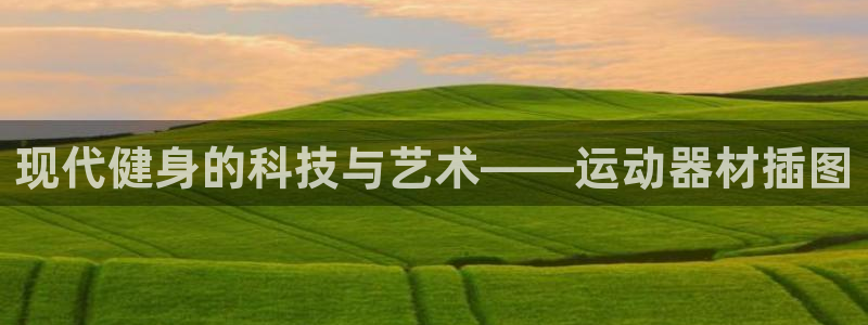 凯捷体育官方：现代健身的科技与艺术——运动器材插图