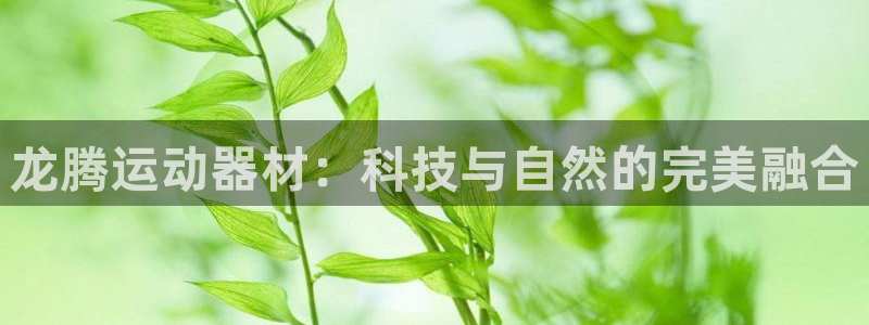 凯捷体育平台APP：龙腾运动器材：科技与自然的完美融合