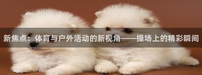 凯捷体育是干嘛的公司：新焦点：体育与户外活动的新视角