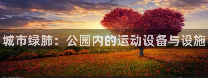 凯捷体育娱乐：城市绿肺：公园内的运动设备与设施