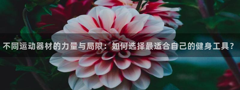 德国凯捷体育集团：不同运动器材的力量与局限：如何选择最适合自