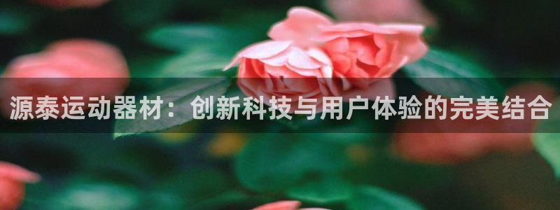 凯捷体育开户：源泰运动器材：创新科技与用户体验的完美结合
