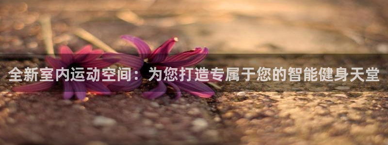 凯捷体育集团E.ON：全新室内运动空间：为您打造专属