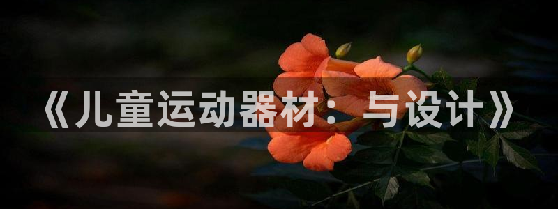 凯捷体育官方客服电话：《儿童运动器材：与设计》