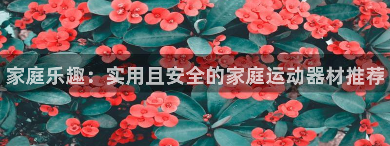 凯捷体育招商电话号码是多少：家庭乐趣：实用且安全的家