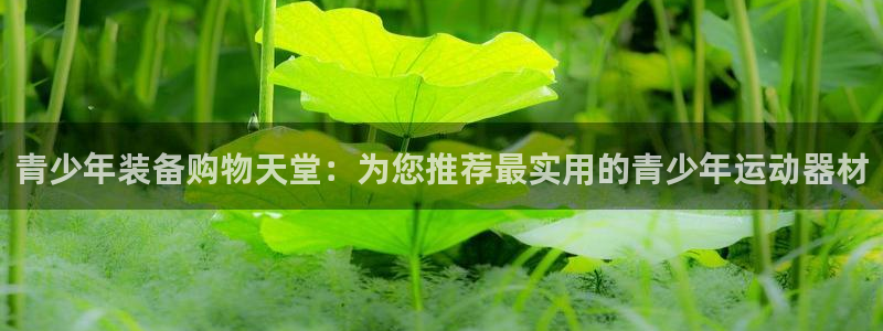凯捷体育科技：青少年装备购物天堂：为您推荐最实用的青
