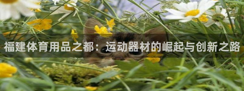 凯捷体育软件
