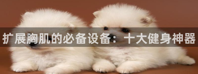 凯捷体育娱乐40996：扩展胸肌的必备设备：十大健身