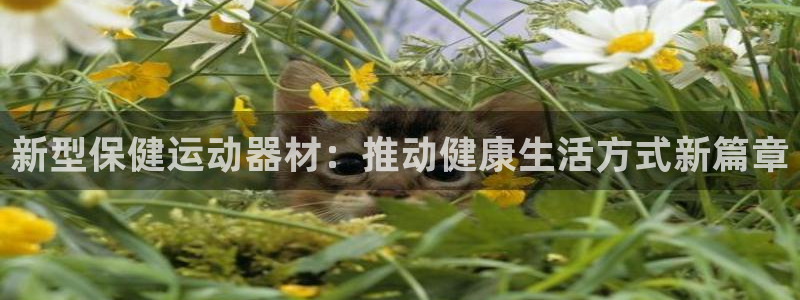 凯捷体育联系电话：新型保健运动器材：推动健康生活方式新篇章
