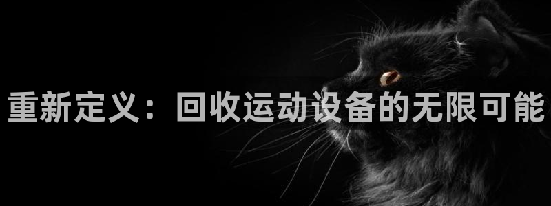 凯捷体育招商电话号码是多少号：重新定义：回收运动设备