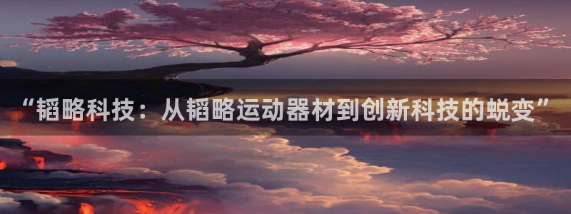凯捷体育官方客服电话：“韬略科技：从韬略运动器材到创新科技的