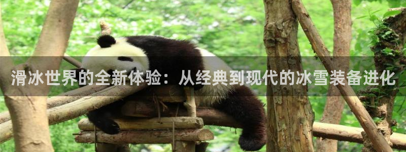 凯捷体育开户：滑冰世界的全新体验：从经典到现代的冰雪